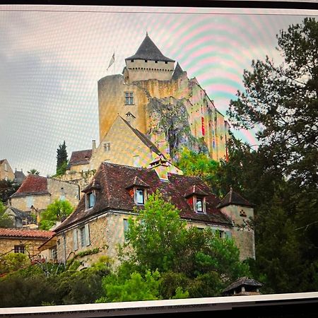 Vue Magique A Castelnaudヴィラ エクステリア 写真